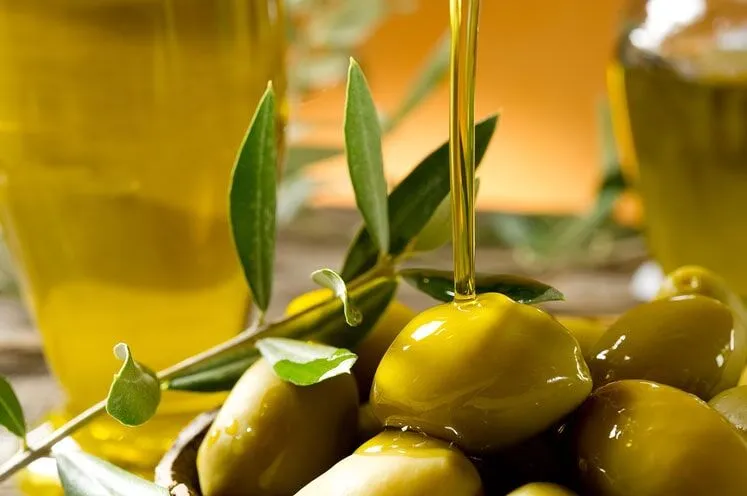 Olive Oil Production